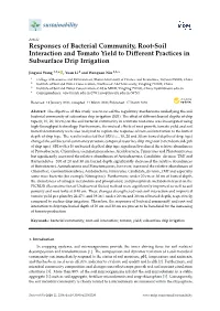 Responses of Bacterial Community, Root-Soil Interaction and Tomato Yield to Diﬀerent Practices in Subsurface Drip Irrigation