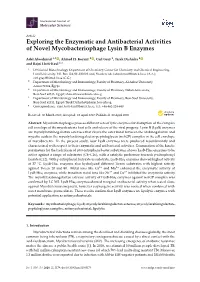 Exploring the Enzymatic and Antibacterial Activities of Novel Mycobacteriophage Lysin B Enzymes