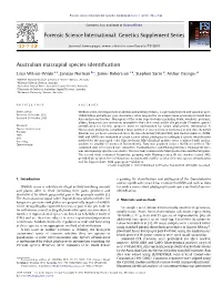 Australian Marsupial Species Identification
