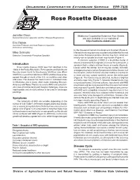 EPP-7329 Rose Rosette Disease