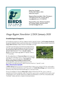 Otago Jan 2020