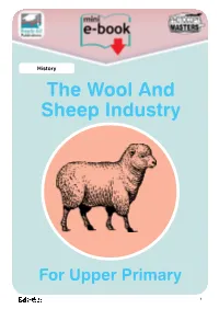 The Wool and Sheep Industry