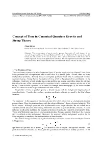 Concept of Time in Canonical Quantum Gravity and String Theory