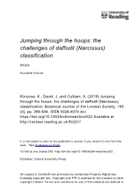 Jumping Through the Hoops: the Challenges of Daffodil (Narcissus) Classification