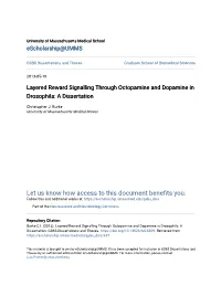 Layered Reward Signalling Through Octopamine and Dopamine in Drosophila: a Dissertation
