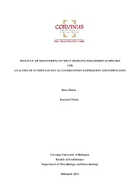 Marta Dora Phd Thesis