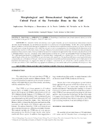 Morphological and Biomechanical Implications of Cuboid Facet of the Navicular Bone in the Gait