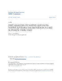 Diet Analysis of Native and Non-Native Juvenile Salmonids in a Lake Superior Tributary" (2016)