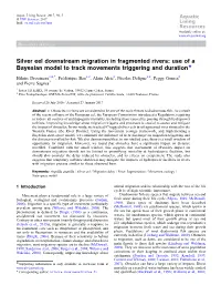 Silver Eel Downstream Migration in Fragmented Rivers: Use of a Bayesian Model to Track Movements Triggering and Duration★
