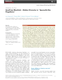 Small but Manifold &#X2013; Hidden Diversity in &#X201c