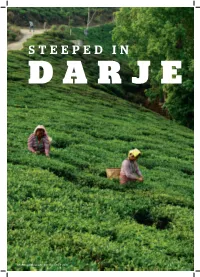 Steeped in Darje