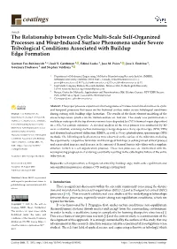 The Relationship Between Cyclic Multi-Scale Self-Organized Processes