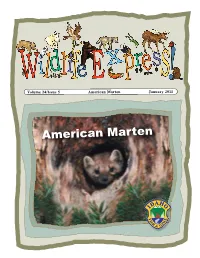 Wildlife Express Newsletter