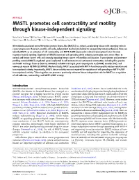 MASTL Promotes Cell Contractility and Motility Through Kinase-Independent Signaling