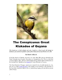 The Conspicuous Great Kiskadee of Guyana