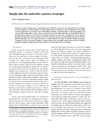 Insight Into the Molecular Genetics of Myopia