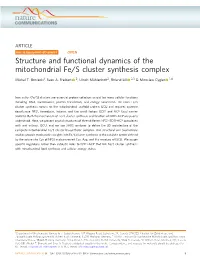 Structure and Functional Dynamics of the Mitochondrial Fe/S Cluster Synthesis Complex