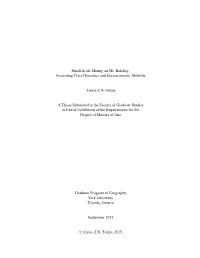 Felipe, Alexie Z.N. (2015) Small-Scale Mining on Mt. Balabag