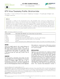 ICTV Virus Taxonomy Profile: Dicistroviridae
