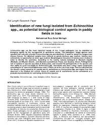 Identification of New Fungi Isolated from Echinochloa Spp., As Potential Biological Control Agents in Paddy Fields in Iran