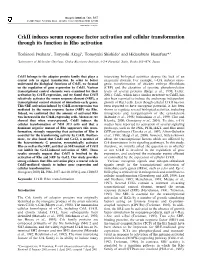 Crkii Induces Serum Response Factor Activation and Cellular Transformation Through Its Function in Rho Activation
