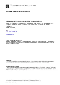 Phylogeny of Rock-Inhabiting Fungi Related to Dothideomycetes Ruibal, C