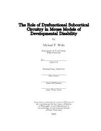 Duke University Dissertation Template