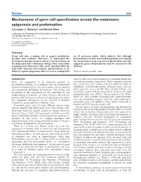 Mechanisms of Germ Cell Specification Across the Metazoans
