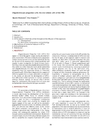 29 1. ABSTRACT 2. INTRODUCTION Oligodendrocyte Progenitor Cells