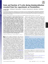 Form and Function of F-Actin During Biomineralization Revealed from Live Experiments on Foraminifera