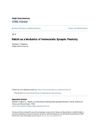 Rab3a As a Modulator of Homeostatic Synaptic Plasticity