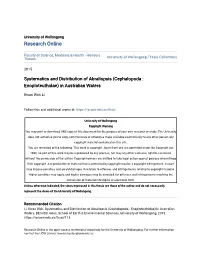 Systematics and Distribution of Abraliopsis (Cephalopoda : Enoploteuthidae) in Australian Waters