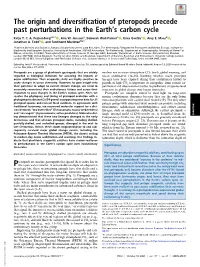 The Origin and Diversification of Pteropods Precede Past Perturbations in the Earth’S Carbon Cycle