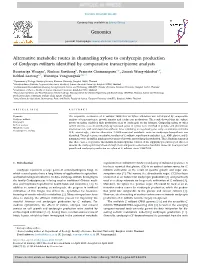 Alternative Metabolic Routes in Channeling Xylose to Cordycepin Production of Cordyceps Militaris Identiﬁed by Comparative Transcriptome Analysis