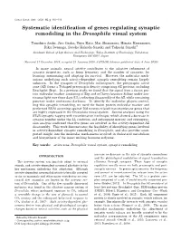 Systematic Identification of Genes Regulating Synaptic Remodeling In