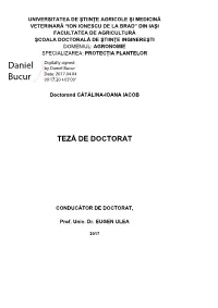 Daniel Bucur