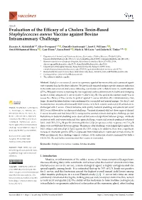 Evaluation of the Efficacy of a Cholera Toxin-Based Staphylococcus