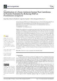 Identification of a Toxin–Antitoxin System That Contributes to Persister Formation by Reducing NAD in Pseudomonas Aeruginosa