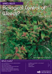 How Cost Effective Is Successful Weed Biocontrol?