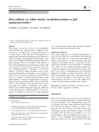 How Solitary Are White Sharks: Social Interactions Or Just Spatial Proximity?