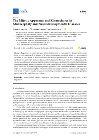 The Mitotic Apparatus and Kinetochores in Microcephaly and Neurodevelopmental Diseases