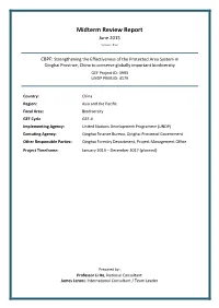 Midterm Review Report