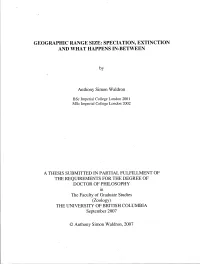 Geographic Range Size: Speciation, Extinction and What Happens In-Between