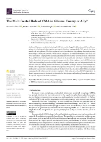 The Multifaceted Role of CMA in Glioma: Enemy Or Ally?