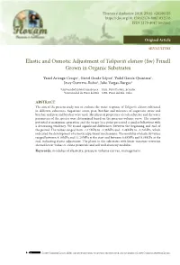 Elastic and Osmotic Adjustment of Talipariti Elatum (Sw) Frixell Grown in Organic Substrates