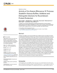 Activity of the Human Rhinovirus 3C Protease Studied in Various Buffers, Additives and Detergents Solutions for Recombinant Protein Production