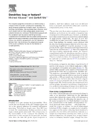 Dendrites: Bug Or Feature? Michael Ha¨ Usser�Y and Bartlett Mel�Z