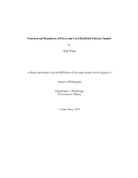 Function and Regulation of Polycystin-2 and Epithelial Sodium Channel