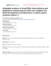 Integrated Analysis of Small RNA, Transcriptome and Degradome