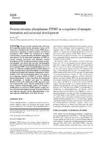 Protein Tyrosine Phosphatase PTPRT As a Regulator of Synaptic Formation and Neuronal Development